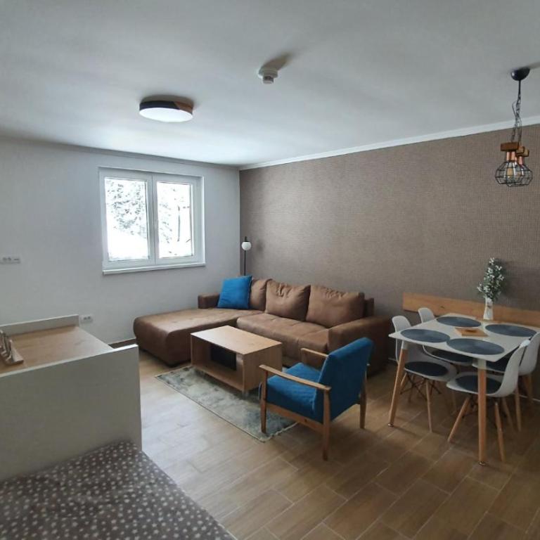 Vili.Kop studio - One-Bedroom Apartment - 4
