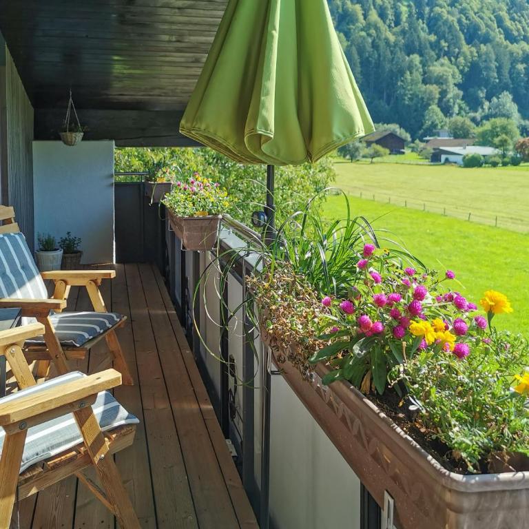 Naturhaus Netzer - Appartamento con 2 Camere da Letto e con Doccia - 9