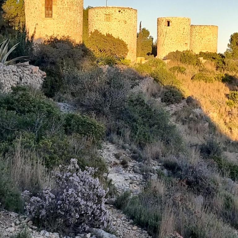 Appartement Cala Blanca - Apartamento de 2 dormitorios - 34