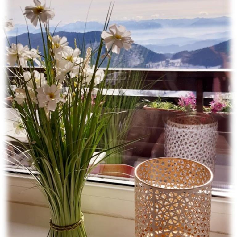 Apartment THE VIEW - Apartment mit Blick auf die Berge - 8