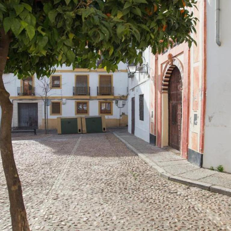 Apartamento Ilusión Andaluza - Apartamento de 1 dormitorio - 14