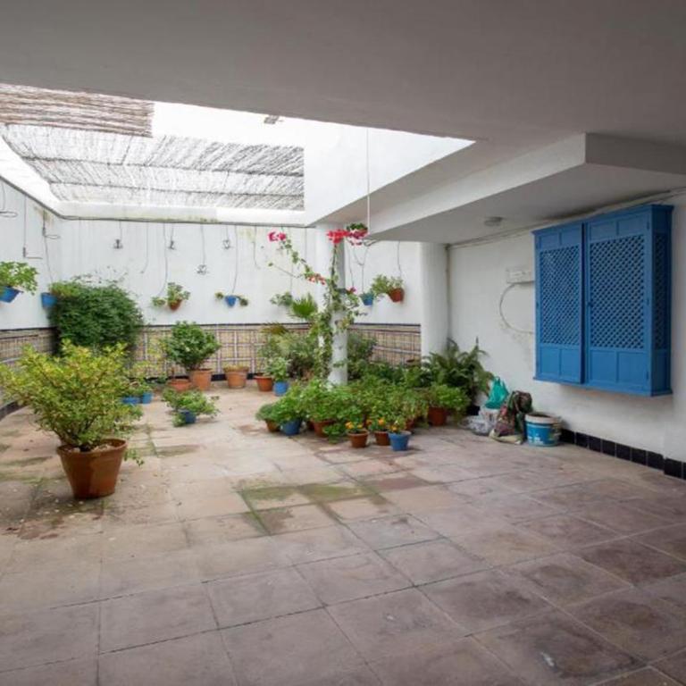 Apartamento Ilusión Andaluza - Apartamento de 1 dormitorio - 9