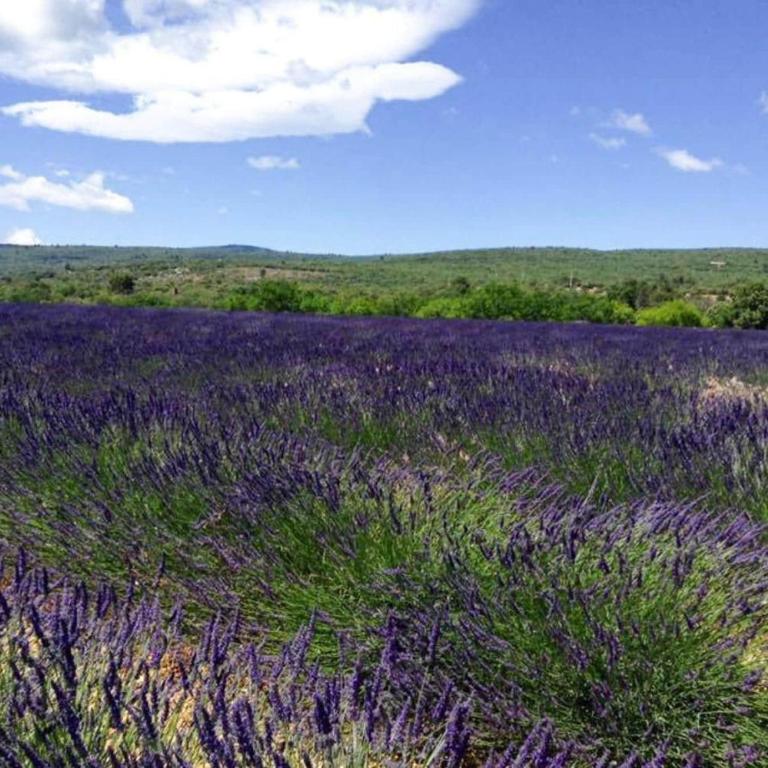 Holiday Home near Mont Ventoux Ski Resort - Maison de Vacances 3 Chambres - 30