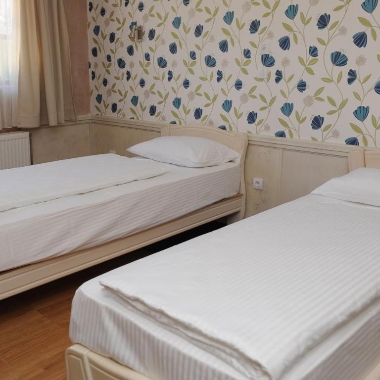 Hotel Centar Balasevic - Dvokrevetna Soba sa Zasebnim Krevetima - 2