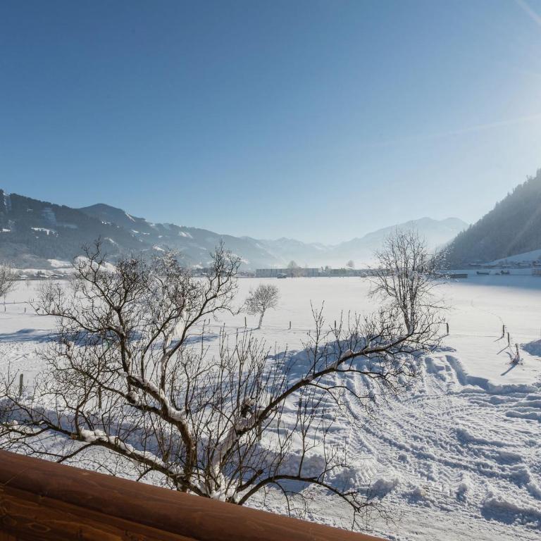 Apartment in Maishofen near Ski Slopes - Apartment mit 4 Schlafzimmern - 23