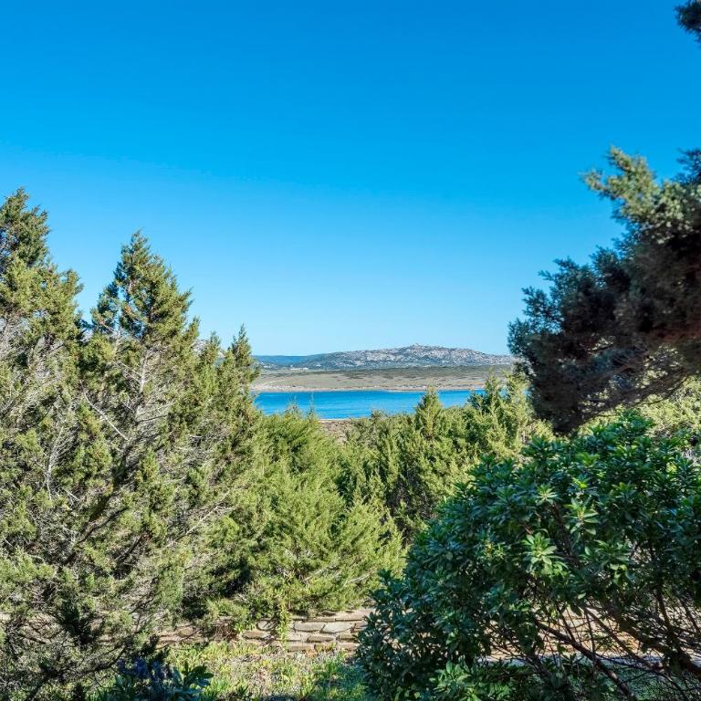 Sardinia Re - Villa Pelosa - Casa con 2 Camere da Letto - 20