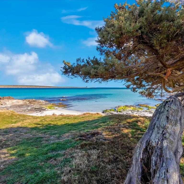 Sardinia Re - Villa Pelosa - Casa con 2 Camere da Letto - 39