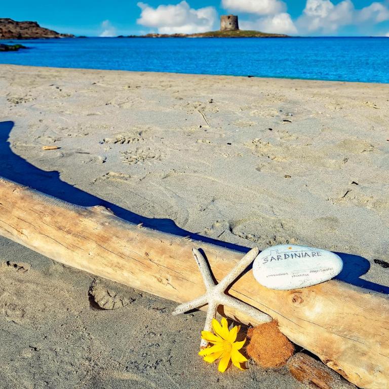 Sardinia Re - Villa Pelosa - Casa con 2 Camere da Letto - 40