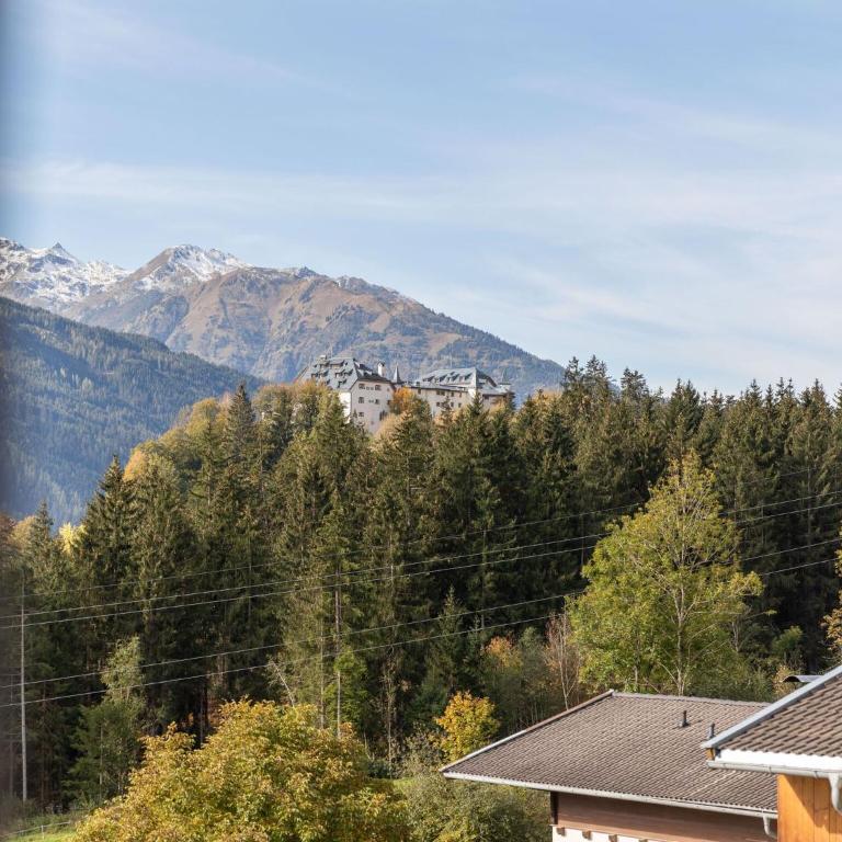 Apartment in Austria near Ski Slopes - Apartment mit 1 Schlafzimmer - 22