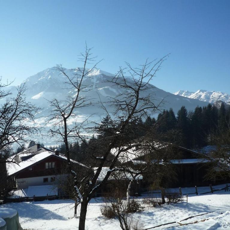 Apartment in Austria near Ski Slopes - Apartment mit 1 Schlafzimmer - 17