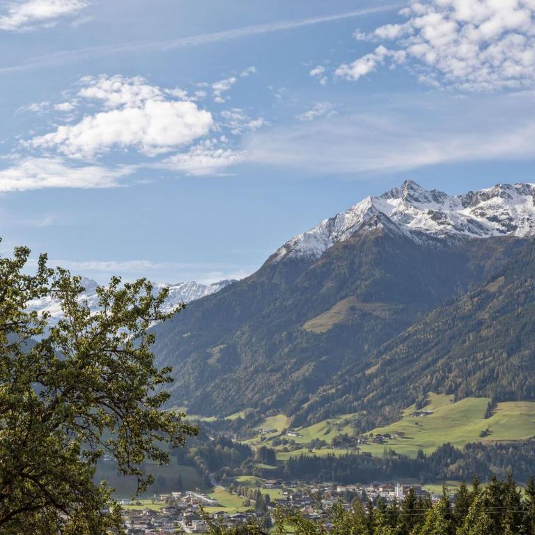 Apartment in Austria near Ski Slopes - Apartment mit 1 Schlafzimmer - 21