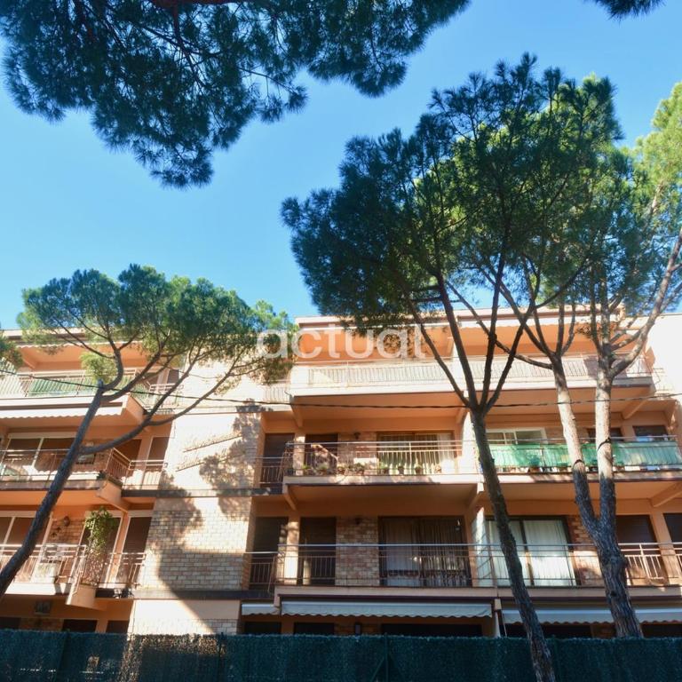 Santa Marina 13 - Apartamento de 3 dormitorios - 36