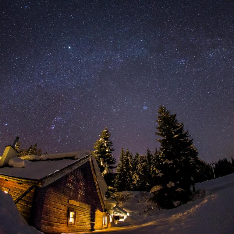 Wurzelhütte - Haus mit 2 Schlafzimmern - 13