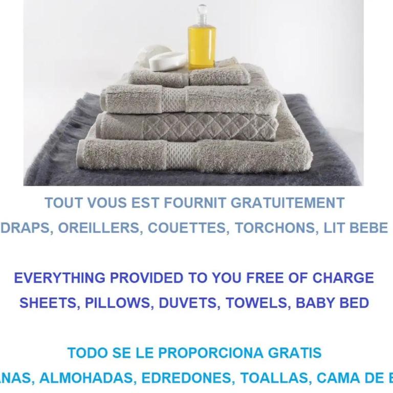 Au Canal du Midi - Appartements au cœur de la ville - Studio - 10