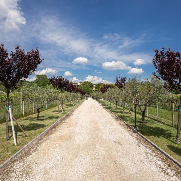 Agriturismo Borgo di Calmasino - Doppel- oder Zweibettzimmer - 2