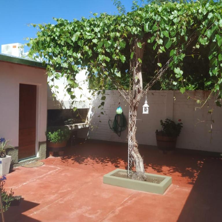 MI CASA APARTS - Apartamento de 1 dormitorio - 18