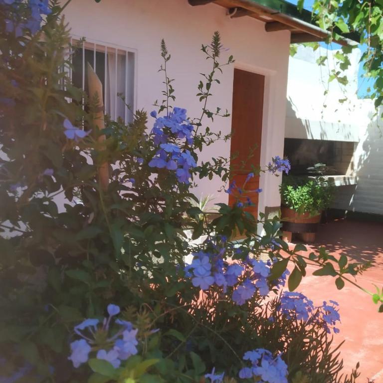 MI CASA APARTS - Apartamento de 1 dormitorio - 17