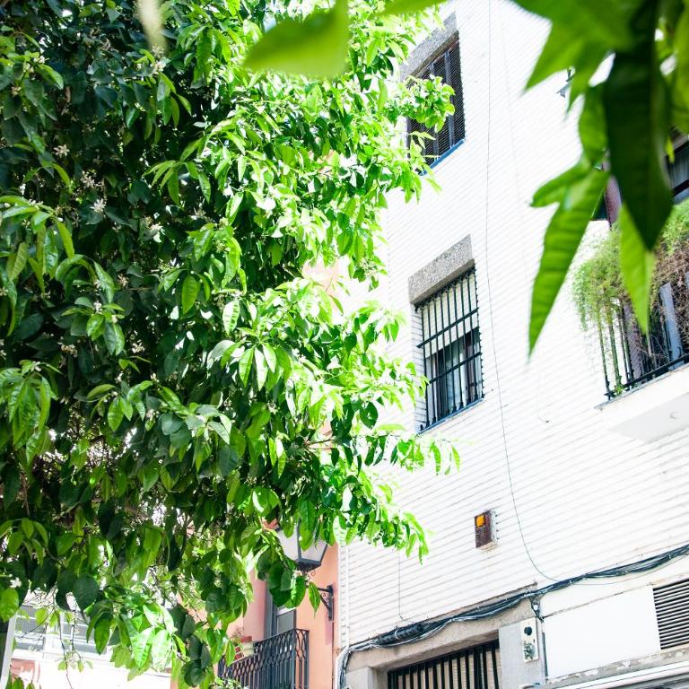 Alohamundi Cruz Verde - Apartamento de 1 dormitorio - 12