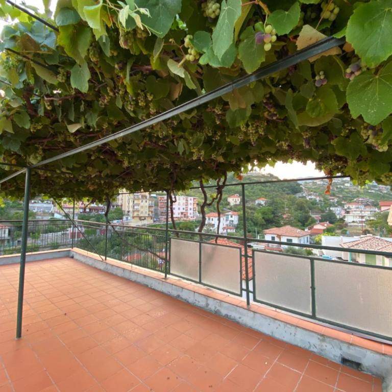 CASA MIMOSA: relax, vista mare, parcheggio gratis - Appartamento con 1 Camera da Letto - 10