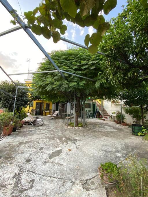 CASA MIMOSA: relax, vista mare, parcheggio gratis - Appartamento con 1 Camera da Letto - 14