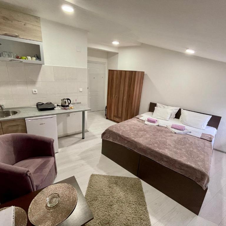 Apartmani Aleksandra u centru grada - Standard Double or Twin Room - 7