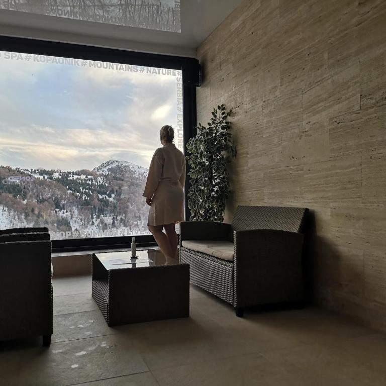 Zoned II Kopaonik - Studio Njegomir - Studio - 23