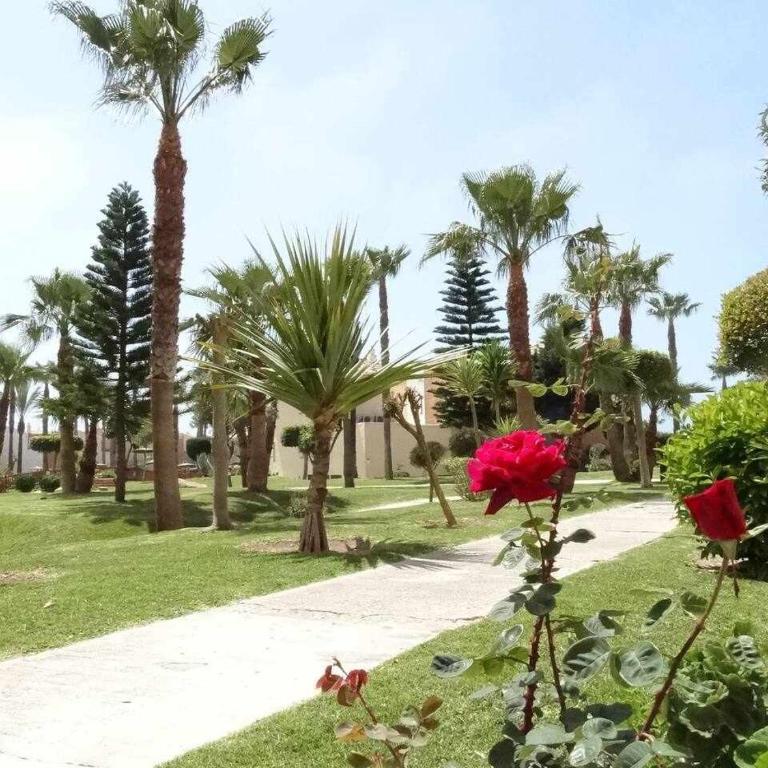 Apartamento en Jardines de Zahara F4A_ - Apartamento de 2 dormitorios - 2