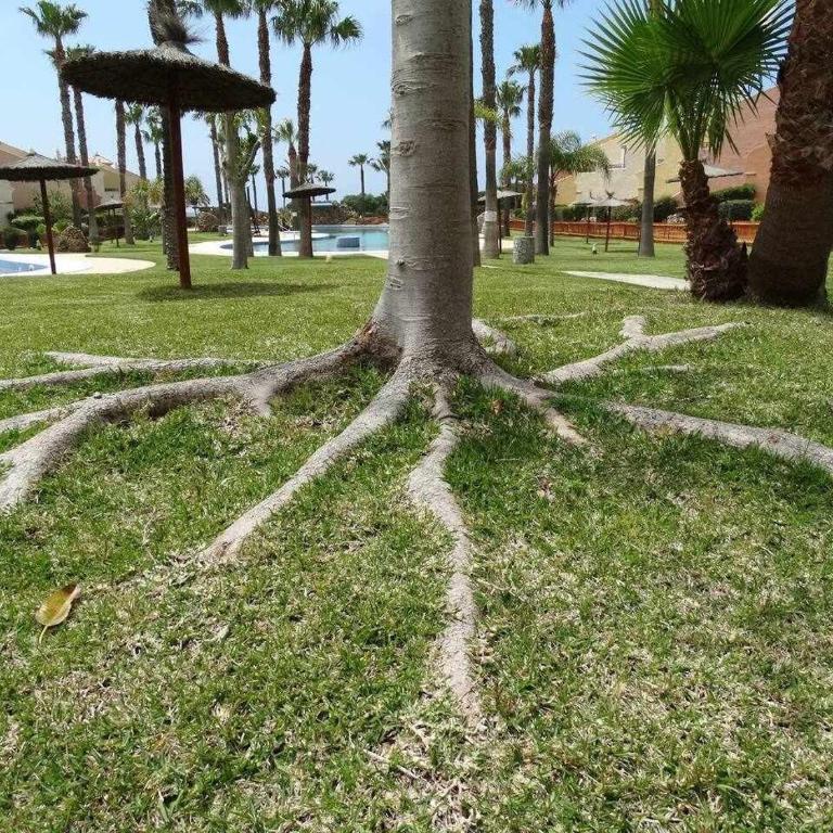 Apartamento en Jardines de Zahara F4A_ - Apartamento de 2 dormitorios - 8