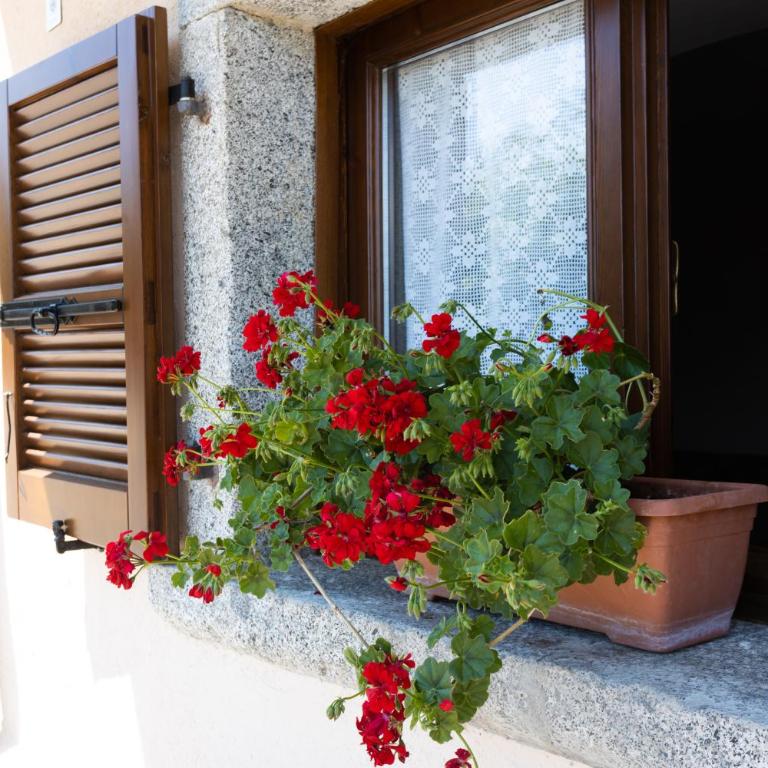 Ap. Lancillotto - Lago di Garda - Appartamento con 2 Camere da Letto - 43