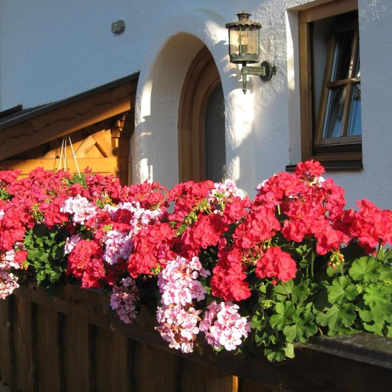 Ferienwohnung Adolf Hornsteiner - Appartement 2 Chambres - 8