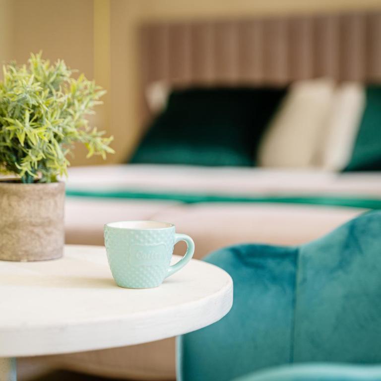 Oisife Apartments - Deluxe Double Studio - 5