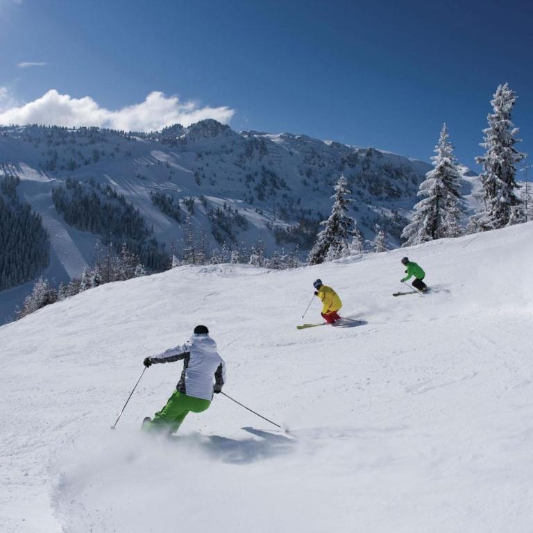 Chalet in Mayrhofen near Penkenbahn Ski Lift - Two-Bedroom Apartment - 32