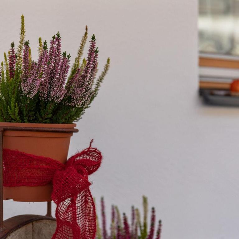 Chalet in Wald near Ski Slopes - Appartamento con 5 Camere da Letto - 25