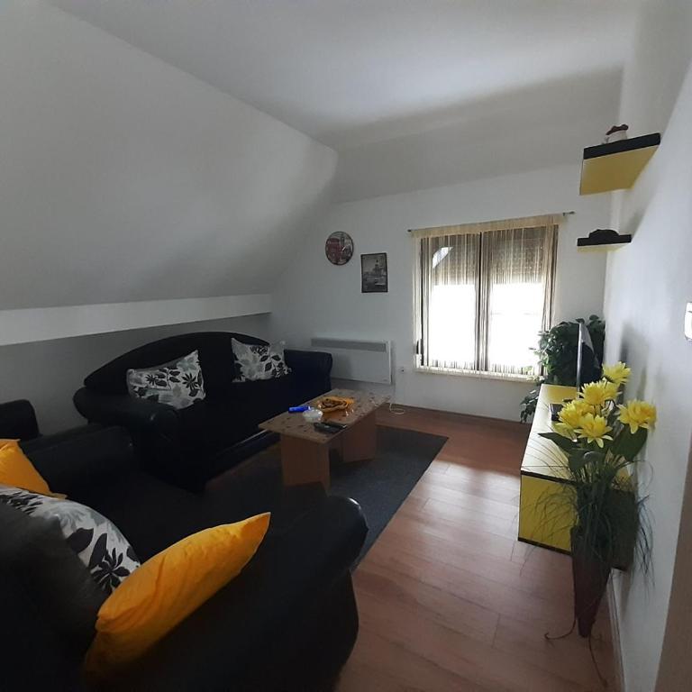 Apartman Anja - Apartman sa 1 Spavaćom Sobom - 10