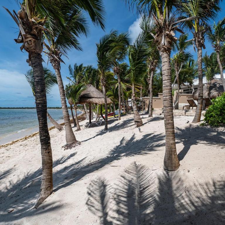 Mansion in Soliman Bay for 34 guests! - Casa - 22