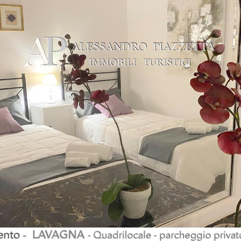 Casa CEO - Apartamento de 2 dormitorios - 1