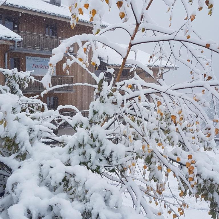 Au Centre de la station de ski de Valfréjus - appartement 4-6 personnes - Appartement 2 Chambres - 34