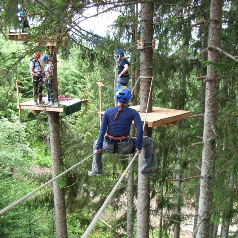 Modern holiday home near the ski area - Apartment mit 2 Schlafzimmern - 17