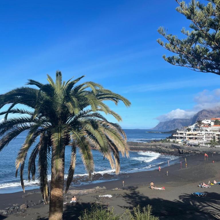 1st Line Sea View - Plaza & Pool - Apartamento de 2 dormitorios - 23