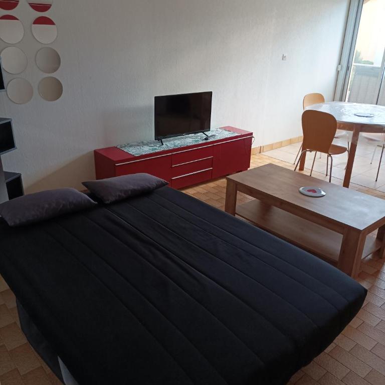 Lara 5 - Grand T2 sans vis-à-vis Parking - Près centre-port, île des Loisirs, plage Richelieu - Appartement 1 Chambre - 5