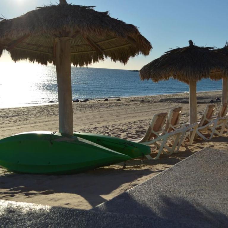 Sonoran Sun Ground Floor - 104-W - Apartamento - Planta baja - 36