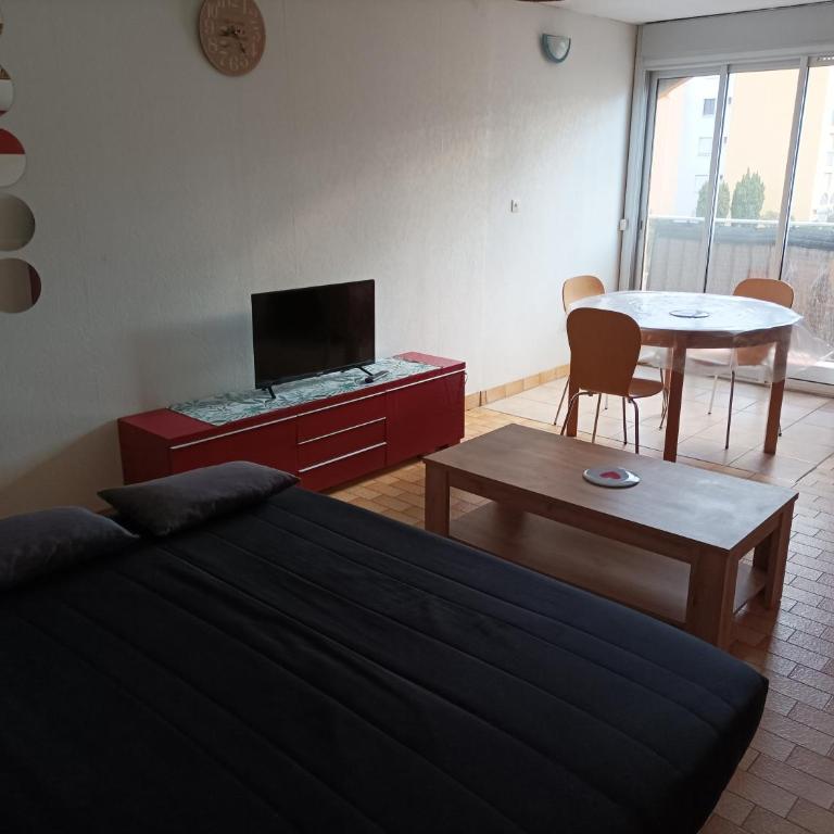 Lara 5 - Grand T2 sans vis-à-vis Parking - Près centre-port, île des Loisirs, plage Richelieu - Appartement 1 Chambre - 16