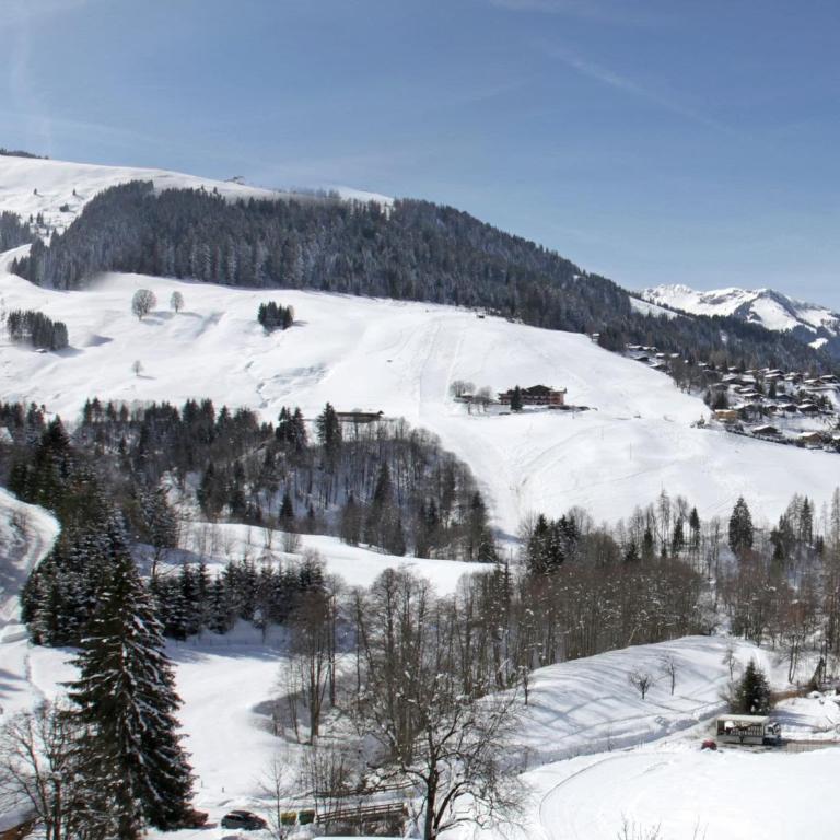 Apartment near the Maria Alm ski area - Apartment mit 1 Schlafzimmer - 23