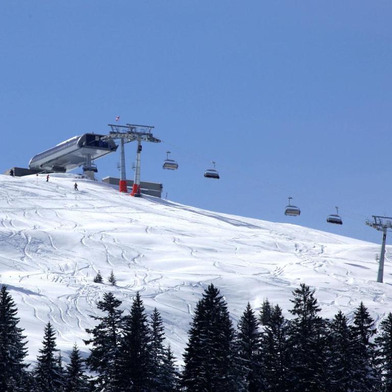 Apartment near the Maria Alm ski area - Apartment mit 1 Schlafzimmer - 25