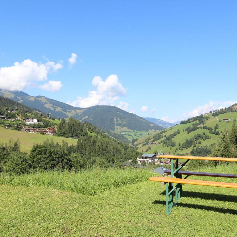 Apartment near the Maria Alm ski area - Apartment mit 1 Schlafzimmer - 3