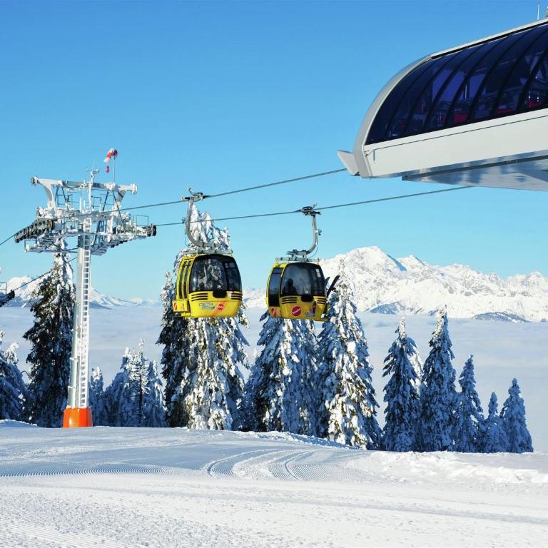 Apartment near the Maria Alm ski area - Apartment mit 1 Schlafzimmer - 27