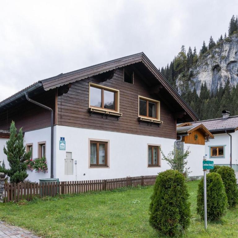 Chalet in Kleinarl near Ski Amadé Slopes - Appartement 3 Chambres - 2