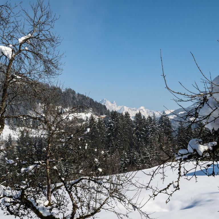 Mansion in Eben near Ski Salzburger Sportwelt - Ferienhaus mit 1 Schlafzimmer - 26