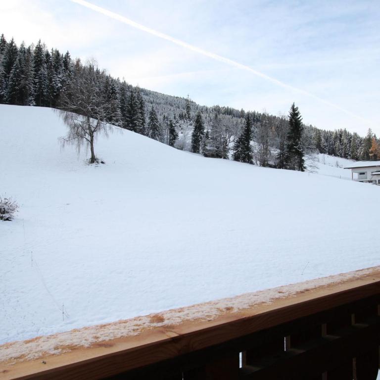 Mansion in Eben near Ski Salzburger Sportwelt - Ferienhaus mit 1 Schlafzimmer - 24
