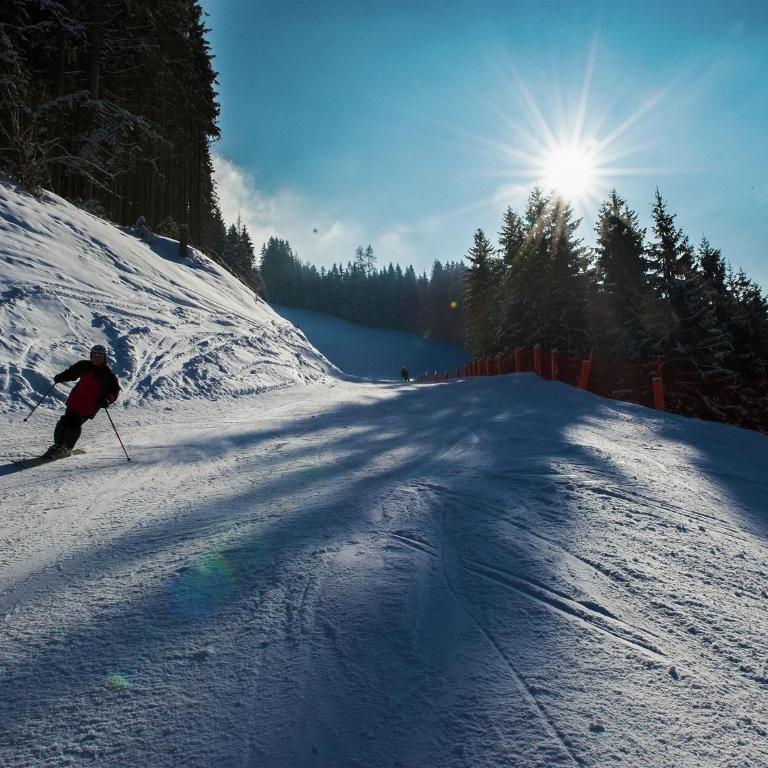 Mansion in Eben near Ski Salzburger Sportwelt - Ferienhaus mit 1 Schlafzimmer - 27